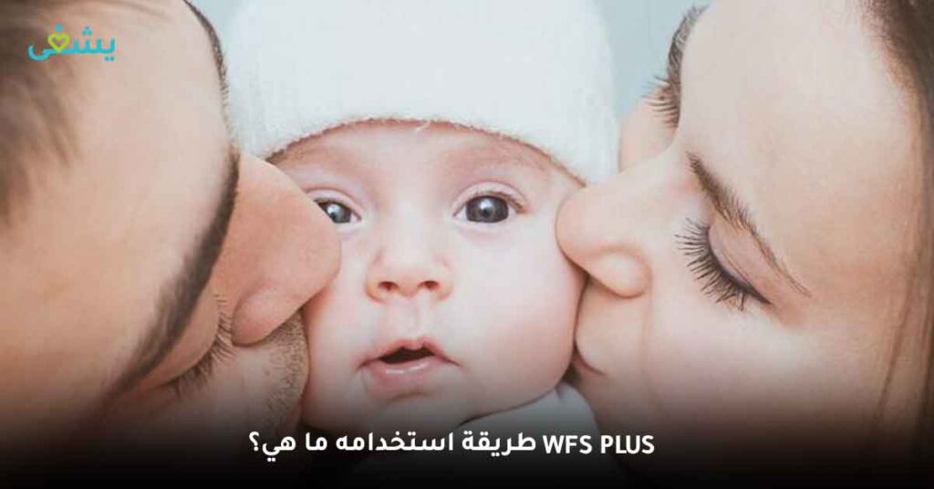 WFS plus طريقة استخدامه ما هي؟