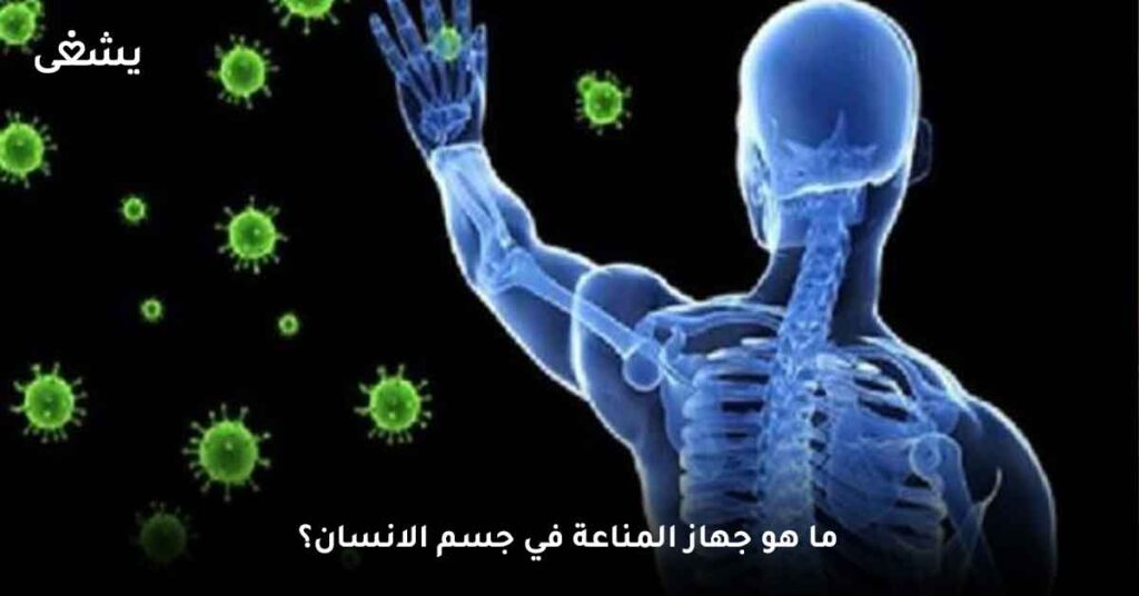 ما هو جهاز المناعة في جسم الانسان؟
