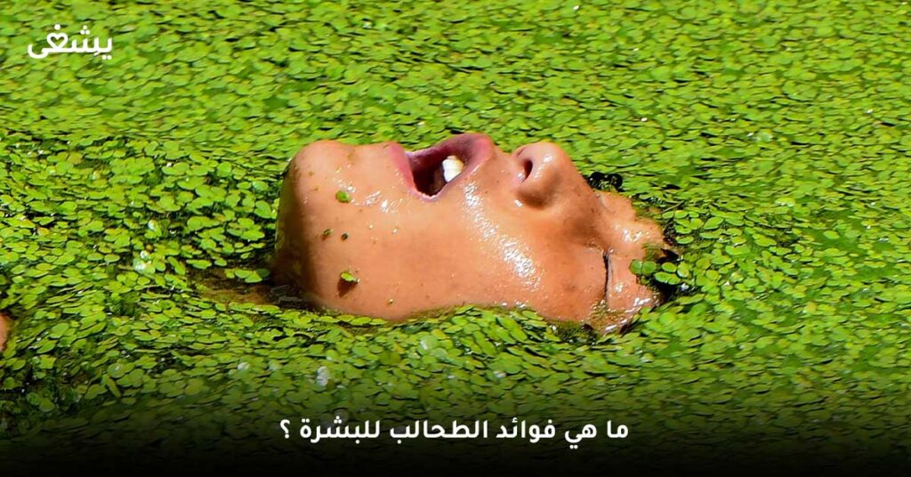 ما هي فوائد الطحالب للبشرة ؟