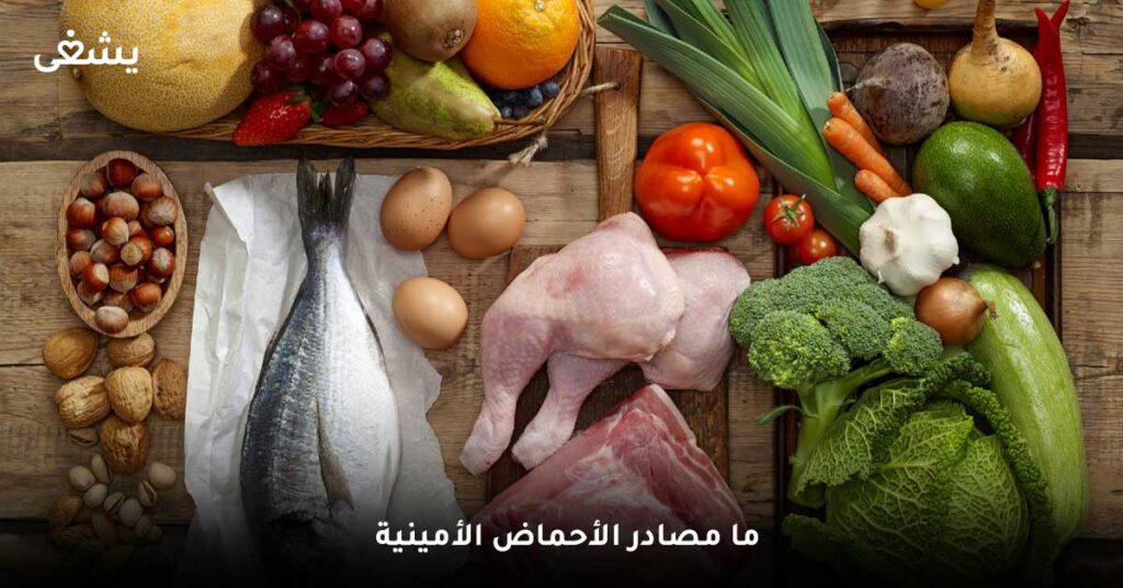 ما مصادر الأحماض الأمينية ؟