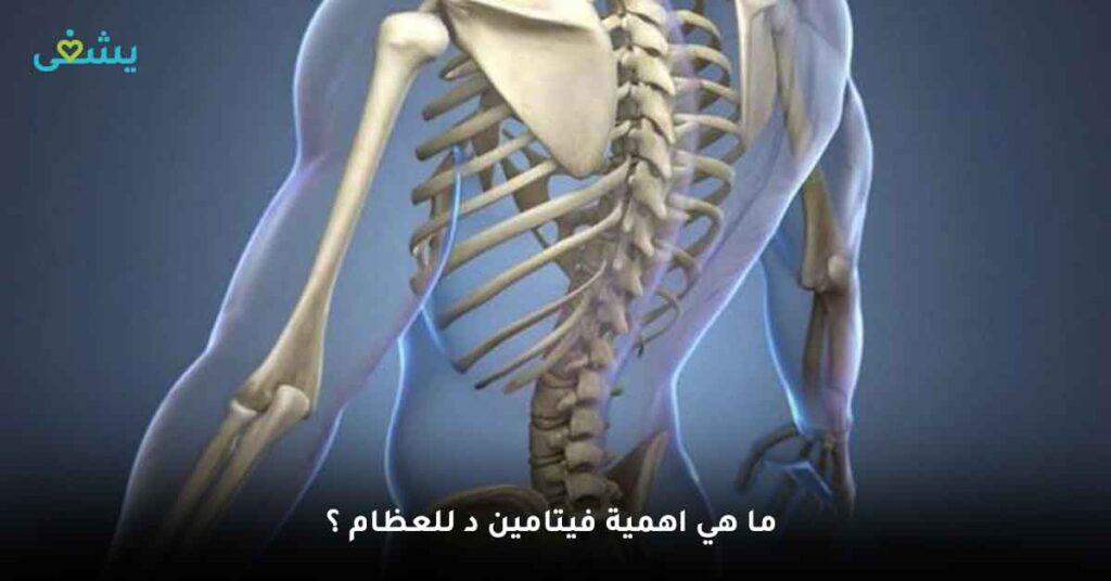 ما هي اهمية فيتامين د للعظام ؟