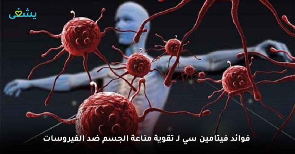 فوائد فيتامين سي لـ تقوية مناعة الجسم ضد الفيروسات