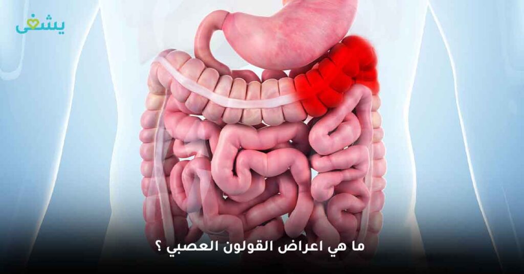 ماهي اعراض القولون العصبي بالتفصيل ؟ هذا من اكثر الاسئلة التى توجد على محركات البحث الالكترونية على الانترنت، بسبب انتشار امراض القولون المختلفة بين الناس؛ مما يصعب على غير المتخصص التفرقة بينها، لذلك في هذا المقال سوف نجيب على هذا السؤال عن طريق عرض جميع اعراض القولون العصبي بالتفصيل.