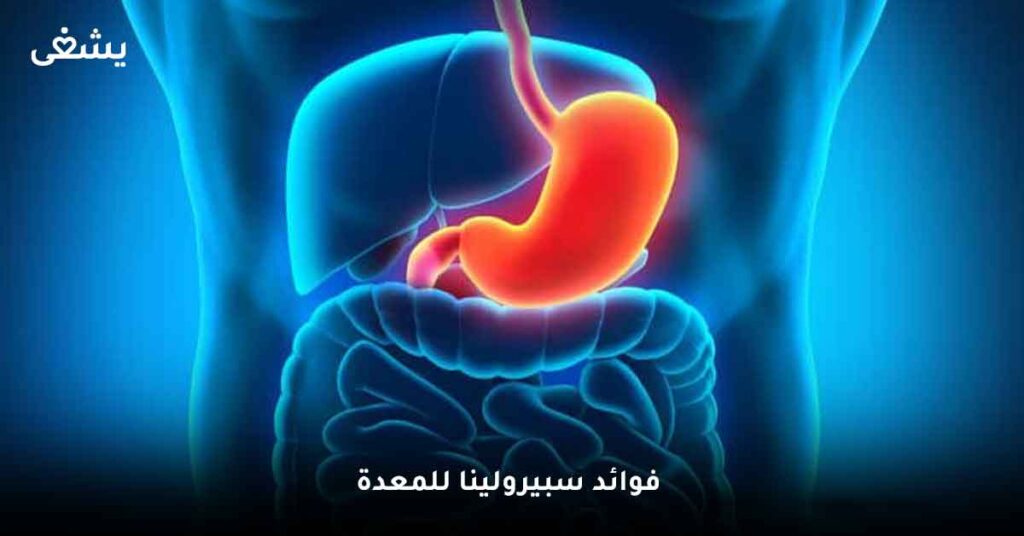 ما أهم فوائد سبيرولينا للمعدة ؟