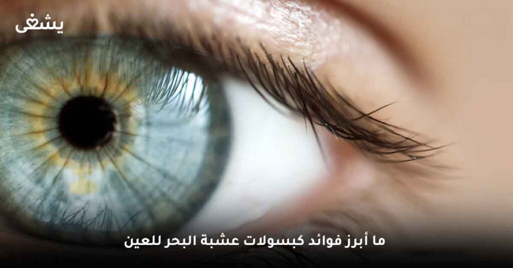 ما أبرز فوائد كبسولات عشبة البحر للعين؟