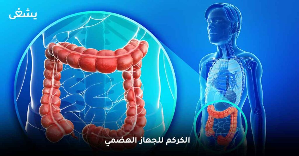 الكركم للجهاز الهضمي 