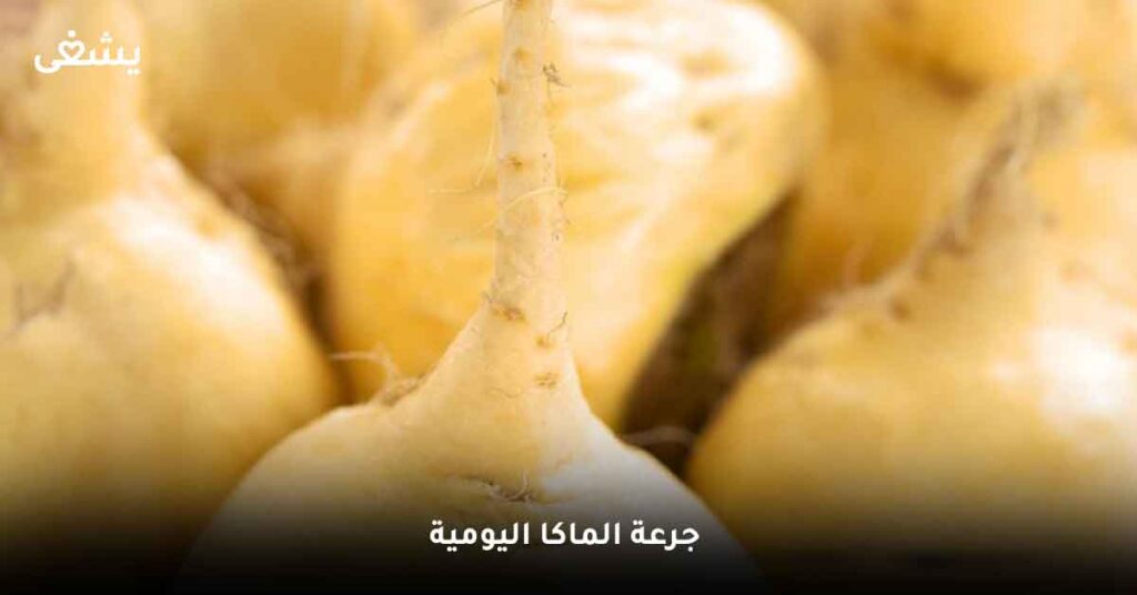 ما هي جرعة الماكا اليومية ؟