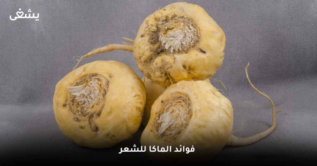 ما أقوى فوائد الماكا للشعر والبشرة ؟