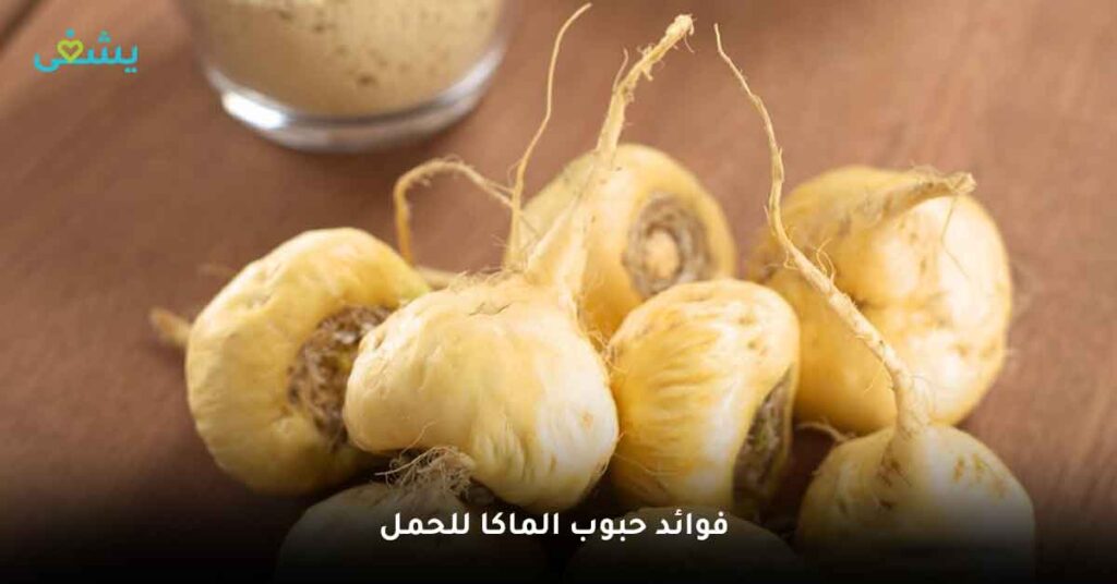 ما فوائد حبوب الماكا للحمل ؟