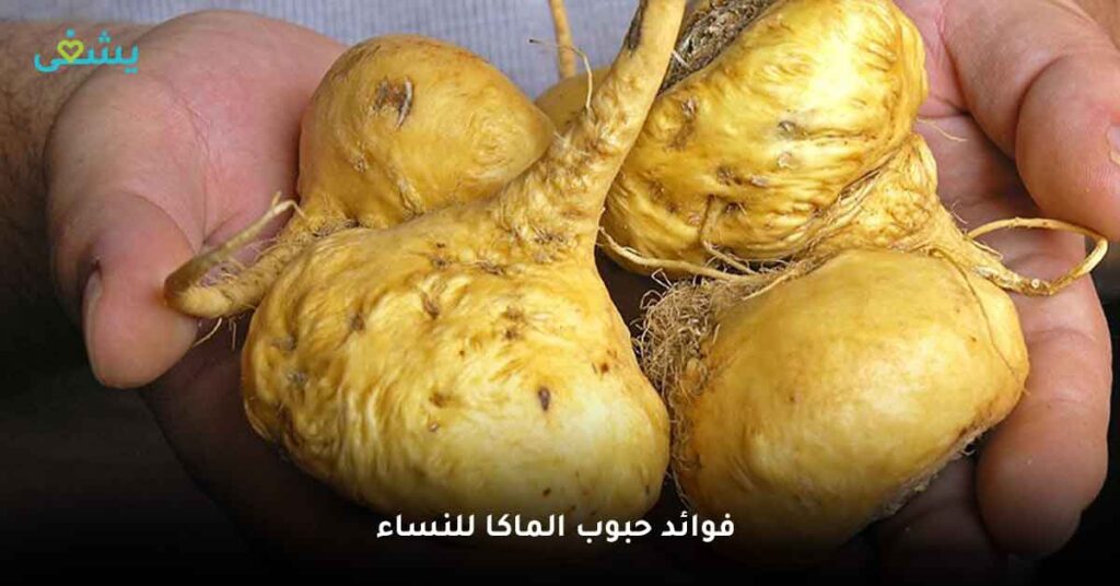 ما أهم فوائد حبوب الماكا للنساء ؟