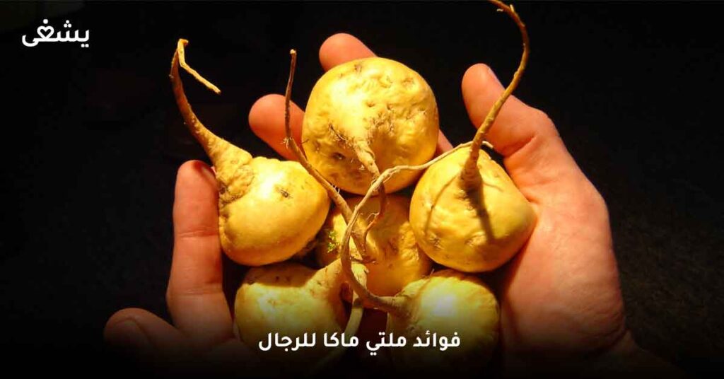 ما هي فوائد ملتي ماكا للرجال ؟