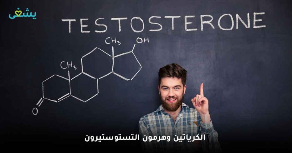 الكرياتين وعلاقته بهرمون التستوستيرون