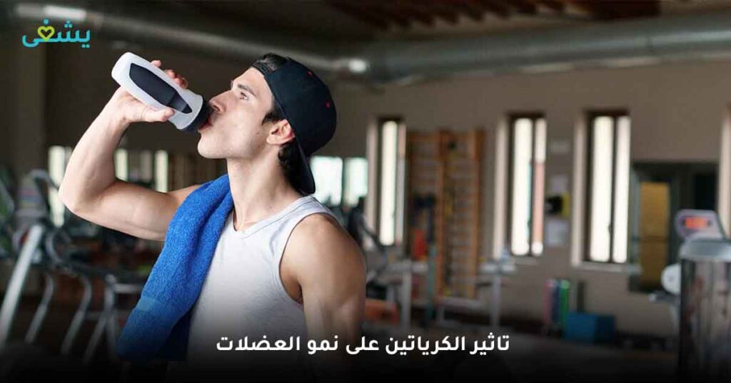 1/ نمو العضلات والخلايا
