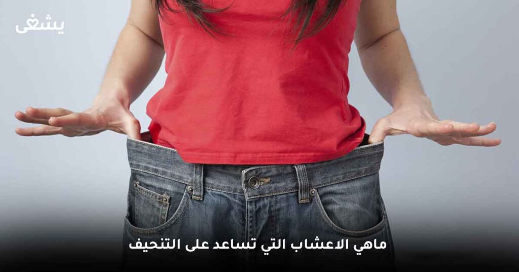 ماهي الاعشاب التي تساعد على التنحيف ؟