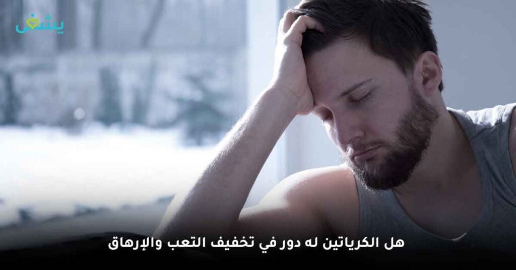 4/ تأثير الكرياتين على التعب والإرهاق
