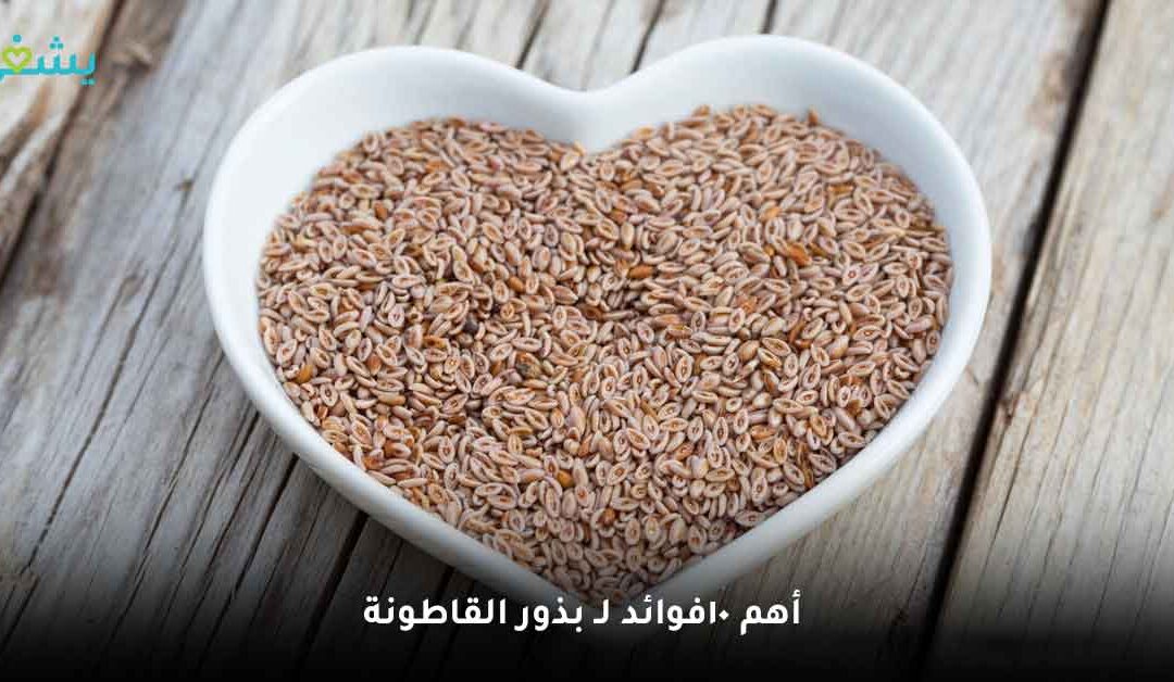 أهم 10فوائد لـ بذور القاطونة (Psyllium) 