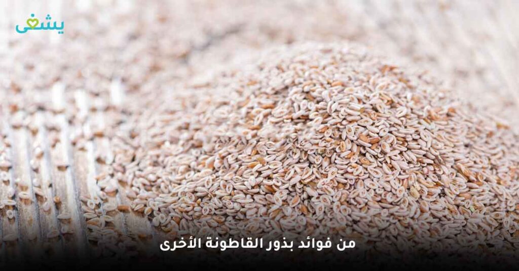 هل تقتصر فوائد بذور القاطونة على التخسيس؟