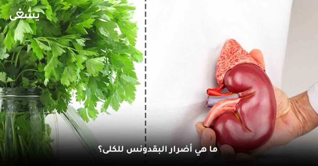 ما هي أضرار البقدونس للكلى؟
