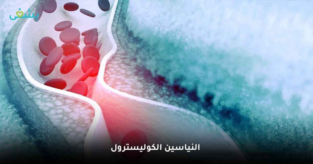 النياسين الكوليسترول
