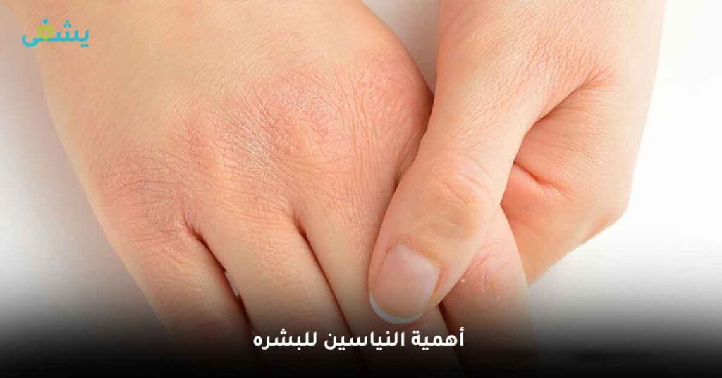 أهمية النياسين للبشره
