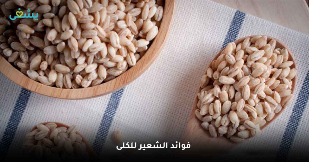فوائد الشعير للكلى
