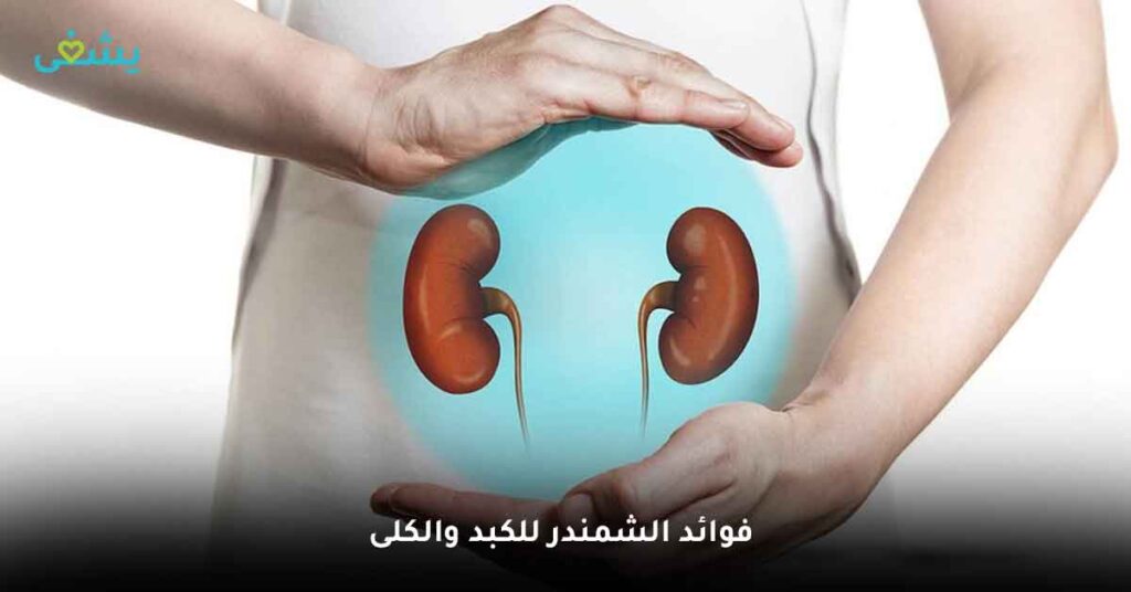 فوائد الشمندر للكبد والكلى
