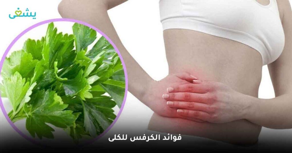 فوائد الكرفس للكلى
