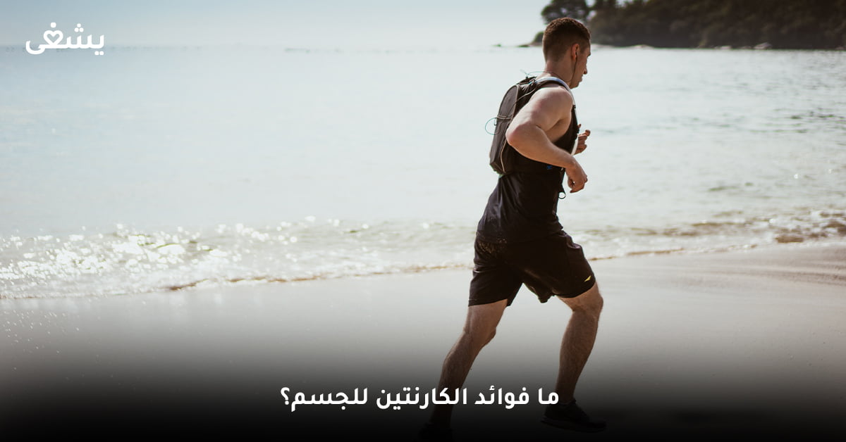 ما فوائد الكارنتين للجسم؟
