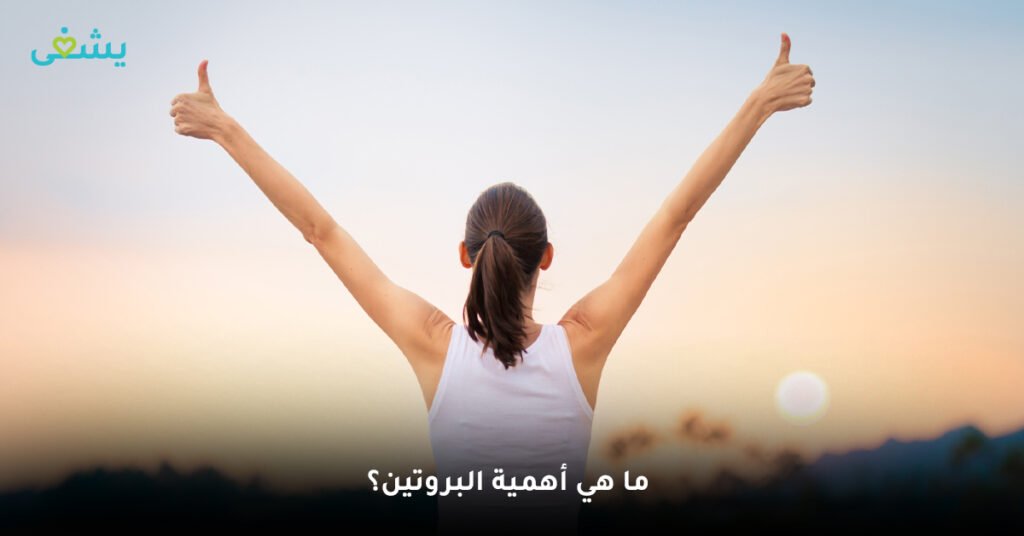 ما هي أهمية البروتين؟
