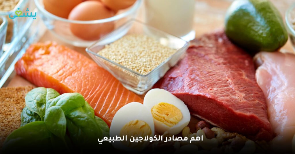 اهم مصادر الكولاجين الطبيعي
