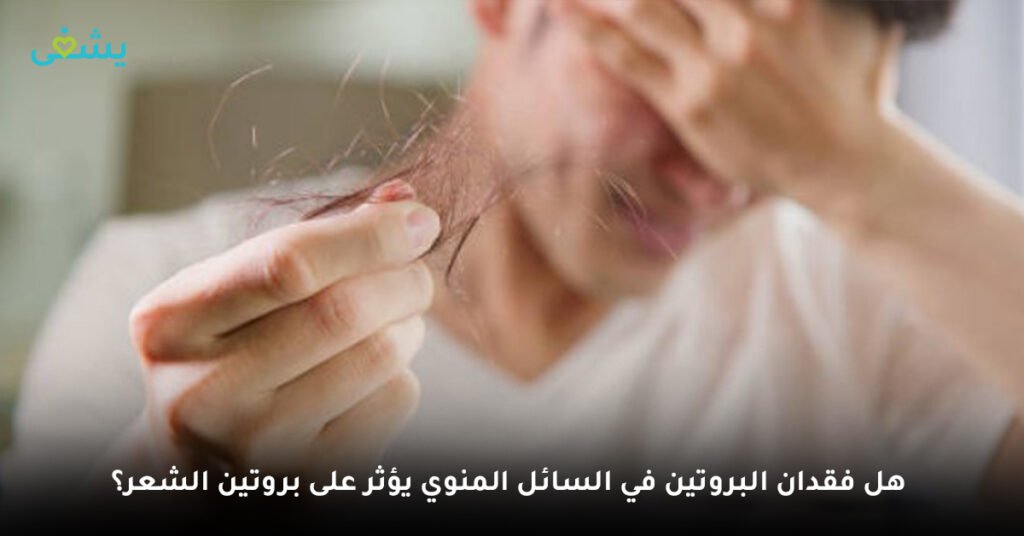 هل فقدان البروتين في السائل المنوي يؤثر على بروتين الشعر؟