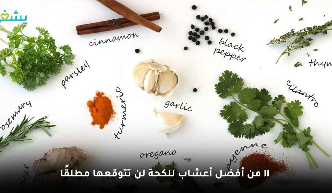 أعشاب للكحة.. أسرار الجدات السبعة في علاج البلغم والكحه الشديده للكبار والأطفال