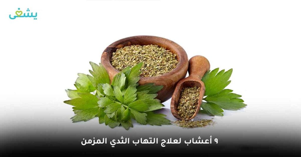 9 أعشاب لعلاج التهاب الثدي المزمن