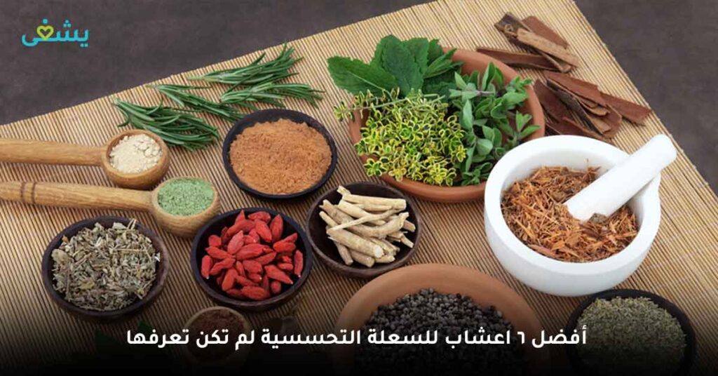 أفضل 6 اعشاب للسعلة التحسسية لم تكن تعرفها