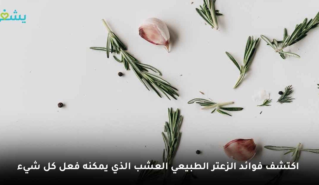 اكتشف فوائد الزعتر الطبيعي: العشب الذي يمكنه فعل كل شيء