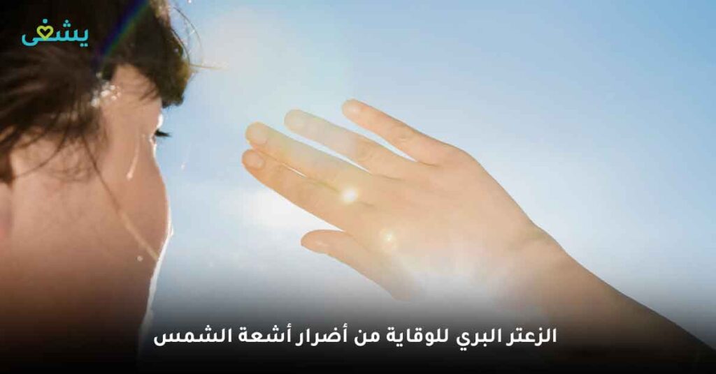 اكتشف فوائد الزعتر الطبيعي: العشب الذي يمكنه فعل كل شيء