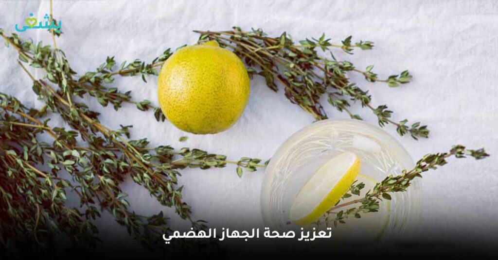 اكتشف فوائد الزعتر الطبيعي: العشب الذي يمكنه فعل كل شيء