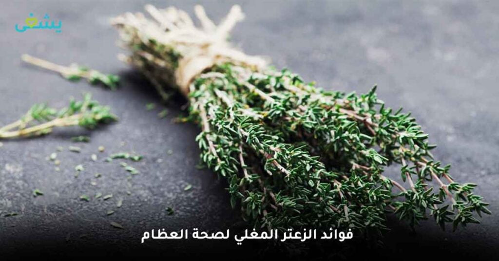 اكتشف فوائد الزعتر الطبيعي: العشب الذي يمكنه فعل كل شيء