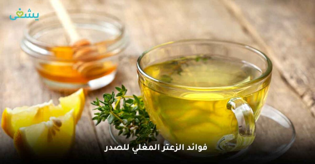 اكتشف فوائد الزعتر الطبيعي: العشب الذي يمكنه فعل كل شيء