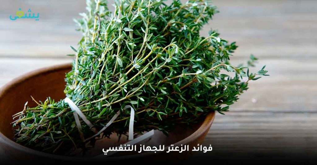 اكتشف فوائد الزعتر الطبيعي: العشب الذي يمكنه فعل كل شيء