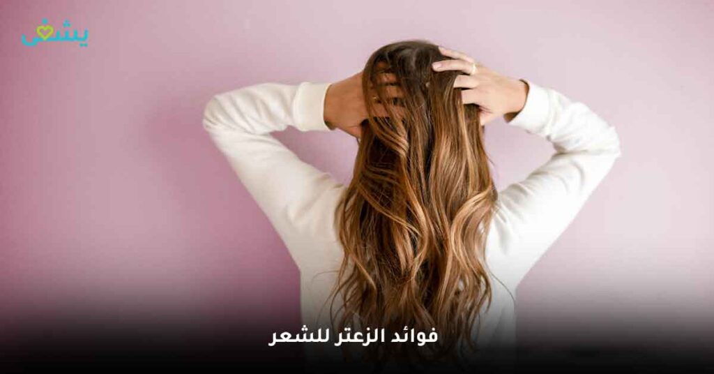 اكتشف فوائد الزعتر الطبيعي: العشب الذي يمكنه فعل كل شيء