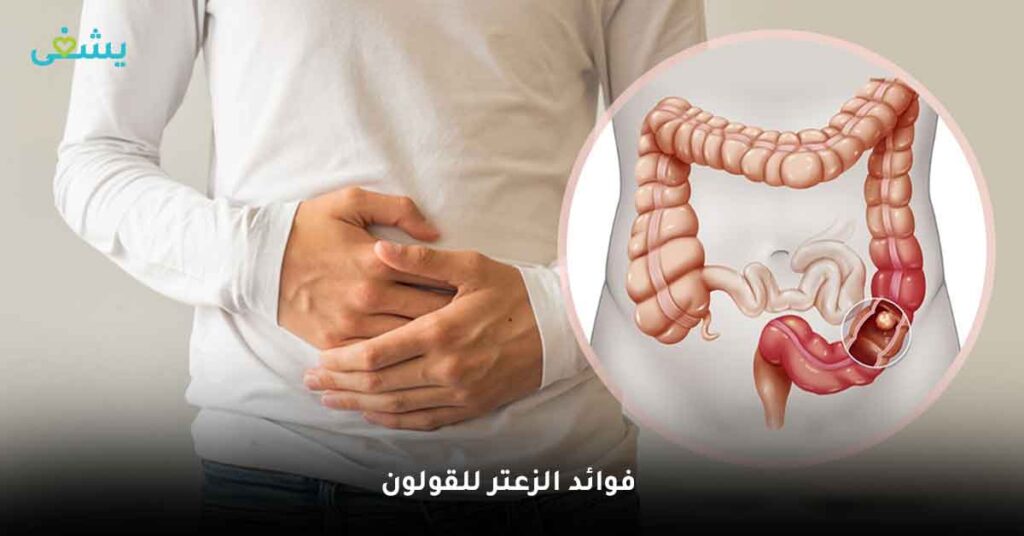 اكتشف فوائد الزعتر الطبيعي: العشب الذي يمكنه فعل كل شيء