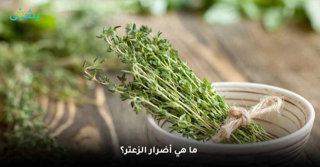 اكتشف فوائد الزعتر الطبيعي: العشب الذي يمكنه فعل كل شيء