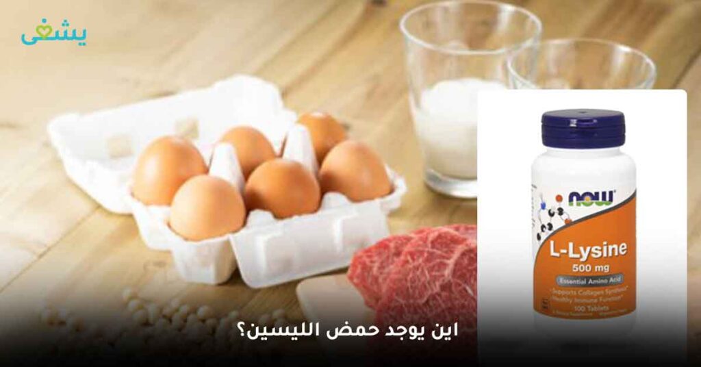 اين يوجد حمض الليسين؟