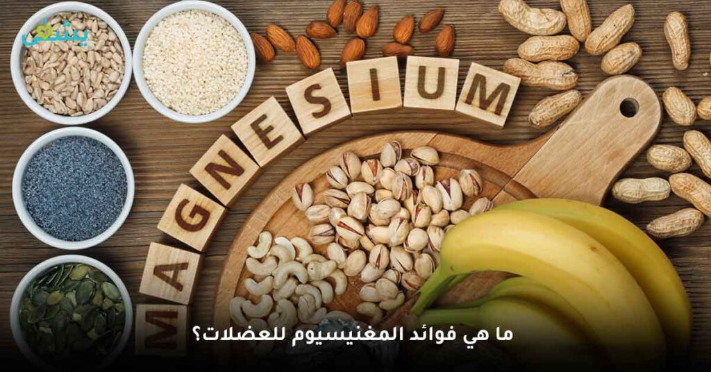 ما-هي-فوائد-المغنيسيوم-للعضلات؟