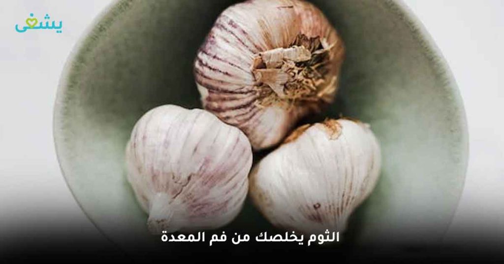 الثوم يخلصك من فم المعدة، علاج وجع فم المعدة