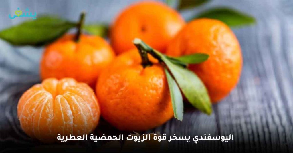 اليوسفندي يسخر قوة الزيوت الحمضية العطرية ... فوائد اليوسفي قبل النوم