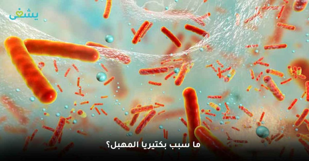 ما سبب بكتيريا المهبل؟