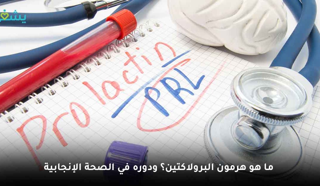 ما هو هرمون البرولاكتين؟ أعراضه ودوره الفعال في الصحة الإنجابية