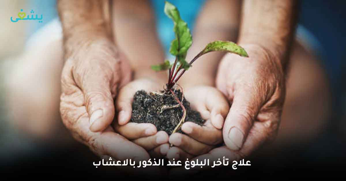 "أسباب تأخر البلوغ عند الذكور" .. الأسباب، أعراض تأخر البلوغ عند الذكور والعلاج - سن البلوغ عند الذكور - مشاكل البلوغ عند الذكور - أشياء تسرع البلوغ للذكور - هل تأخر البلوغ يسبب العقم- عدم البلوغ نهائيًا - تأخر البلوغ عند الذكور - أعراض تأخر البلوغ عند الذكور - ماهو علاج تأخر البلوغ عند الذكور - هل يؤثر البلوغ المتأخر على الطول - علاج تأخر البلوغ عند الذكور بالاعشاب - أطعمة تسرع البلوغ